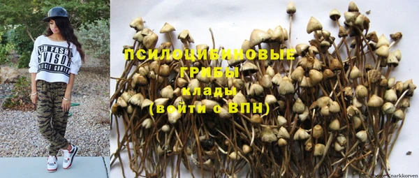 кристаллы Заволжье